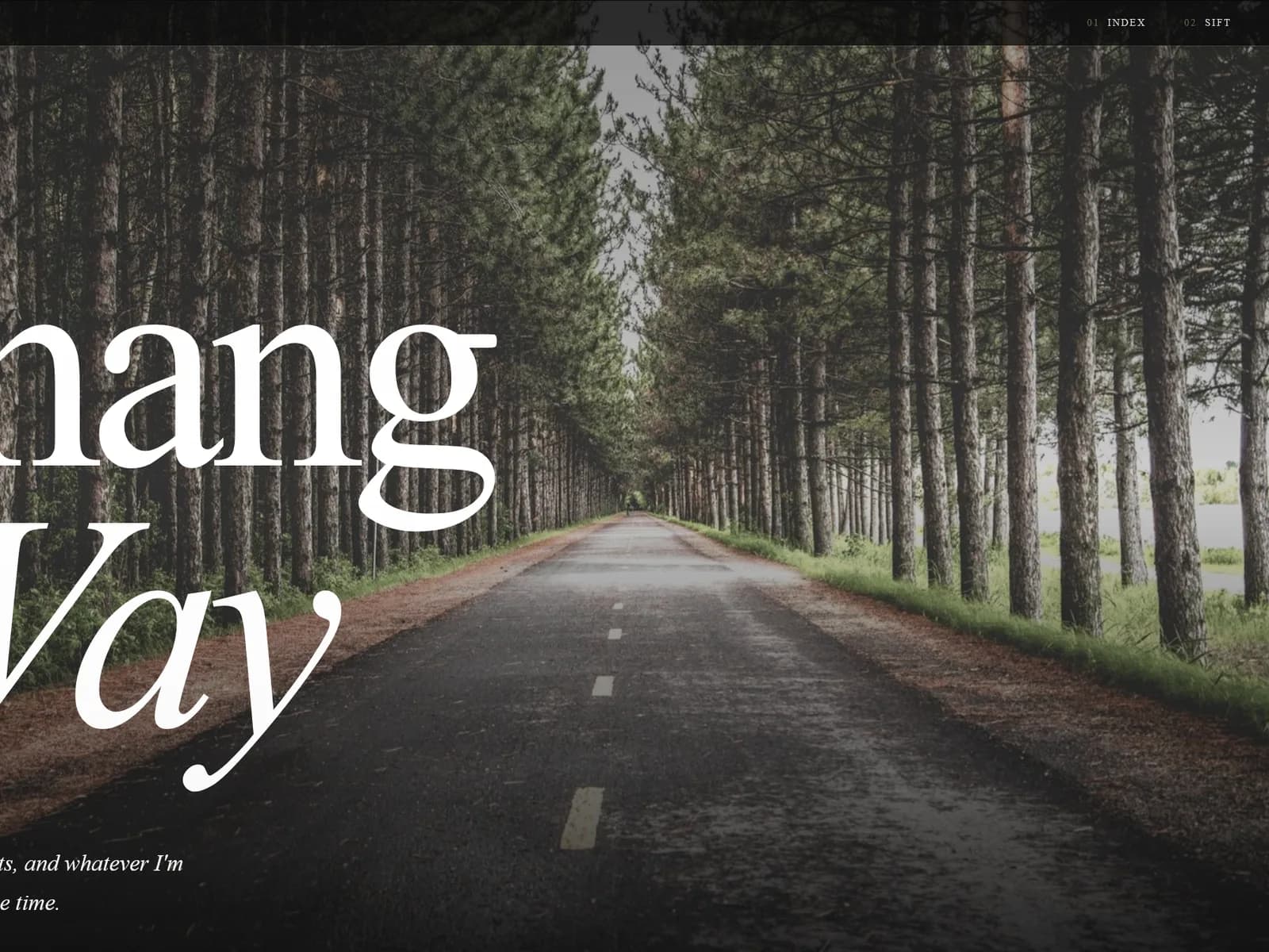 Photography portfolio gallery view